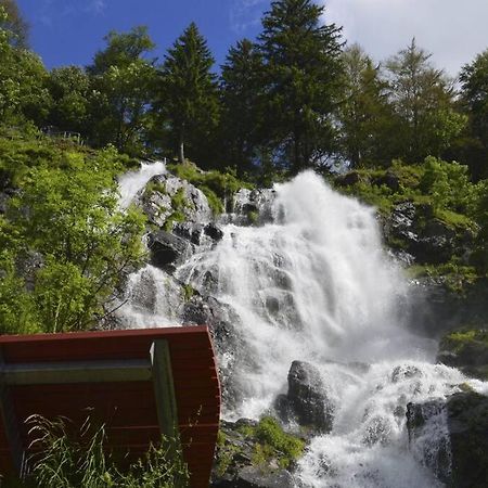 Waldloft Titisee ภายนอก รูปภาพ