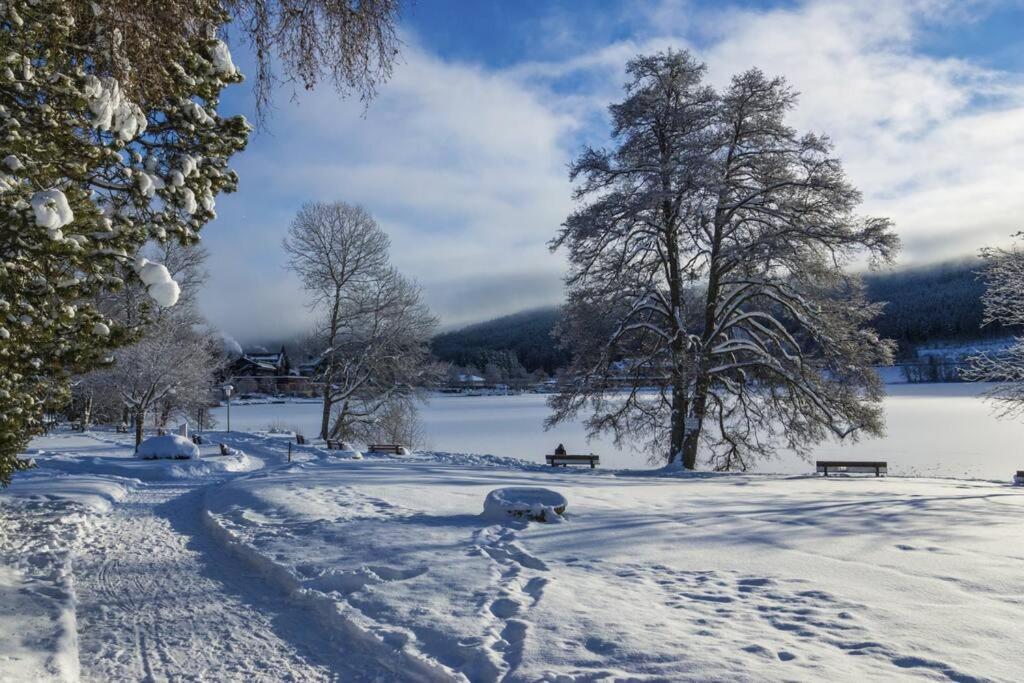 Waldloft Titisee ภายนอก รูปภาพ