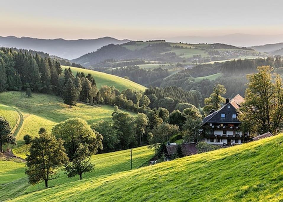 Waldloft Titisee ภายนอก รูปภาพ