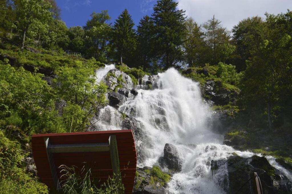 Waldloft Titisee ภายนอก รูปภาพ