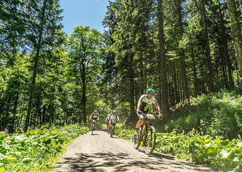 Waldloft Titisee ภายนอก รูปภาพ