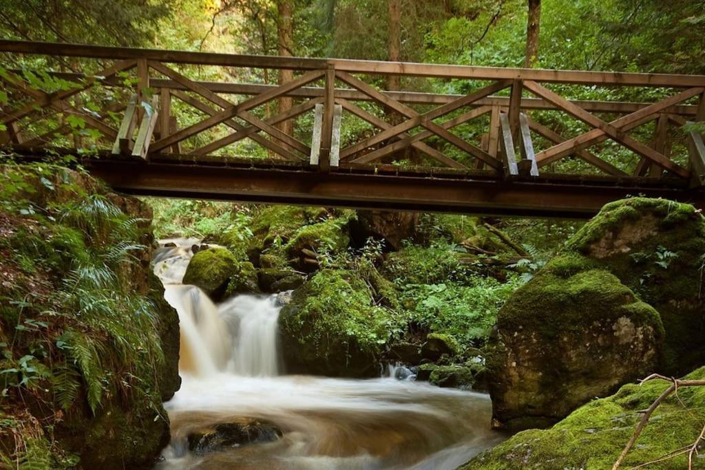 Waldloft Titisee ภายนอก รูปภาพ