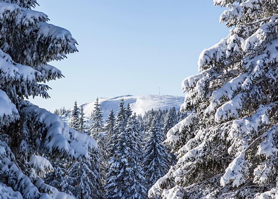 Waldloft Titisee ภายนอก รูปภาพ
